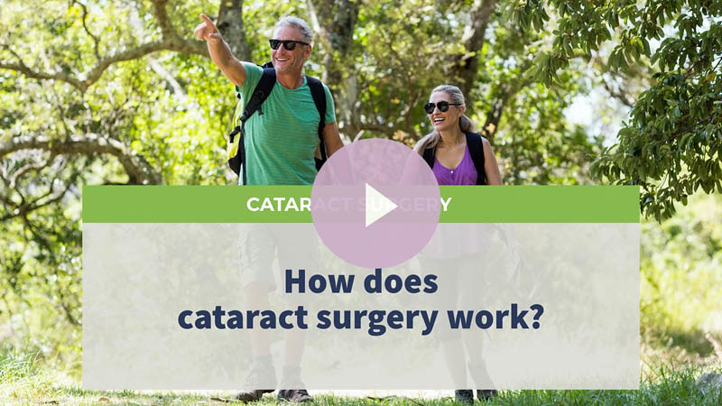 A senior couple wearing sunglasses strolls through a national park on a sunny day.