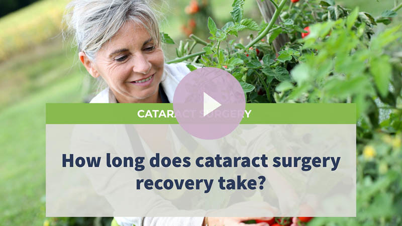 A senior woman happily gazes at her tomato garden in her backyard.